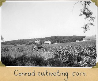 10 cultivating corn